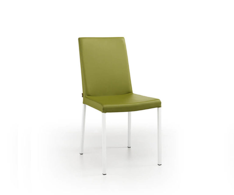 Read more about the article Chair Novis